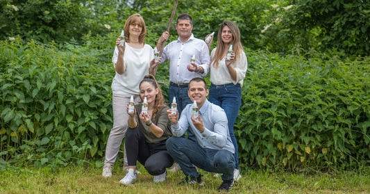 Přírodní odpověď na Vypadávání vlasů: Divoká Kopřiva