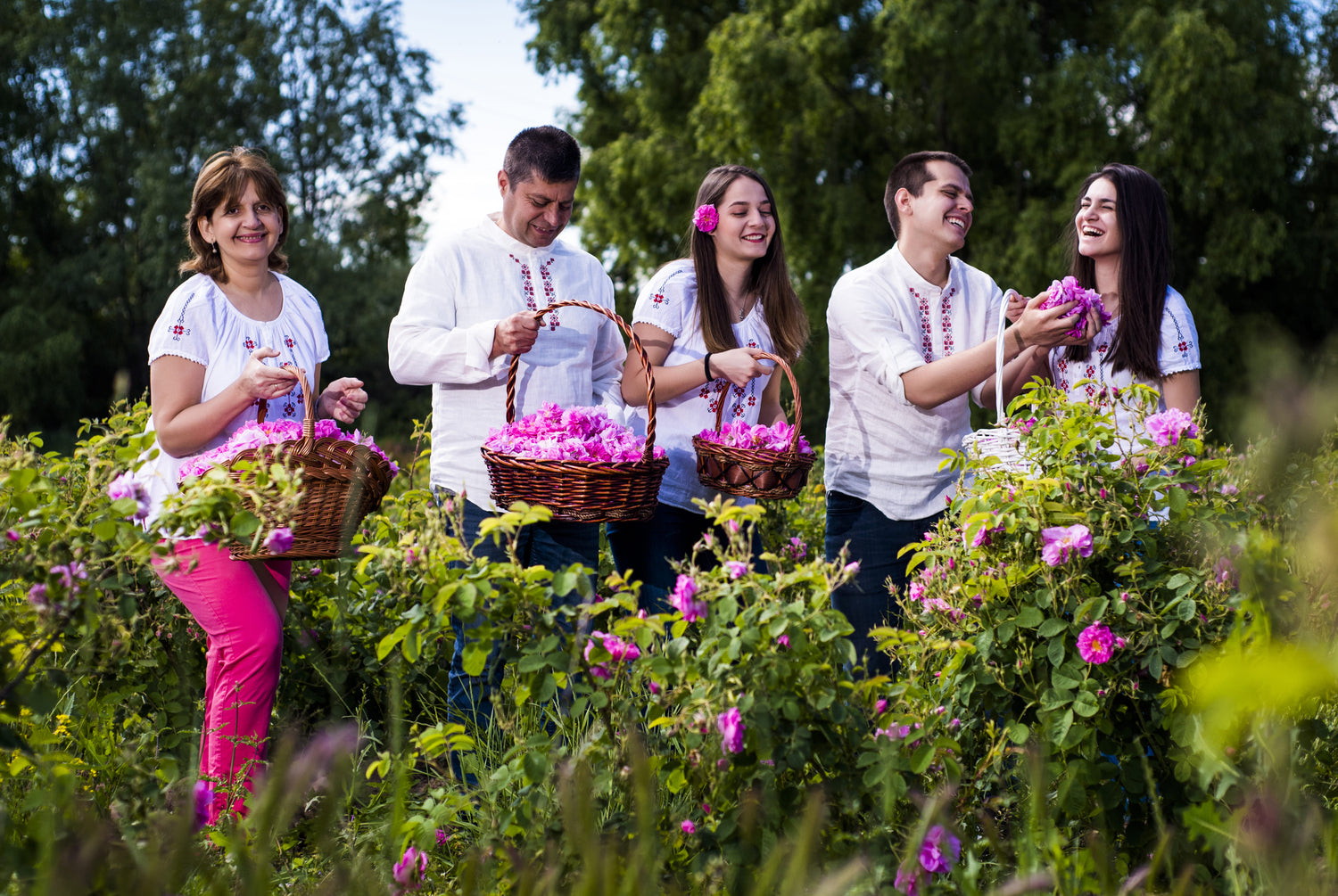Tajemství, jak se vypořádat s lupy a seboreou pomocí jednoho organického kroku