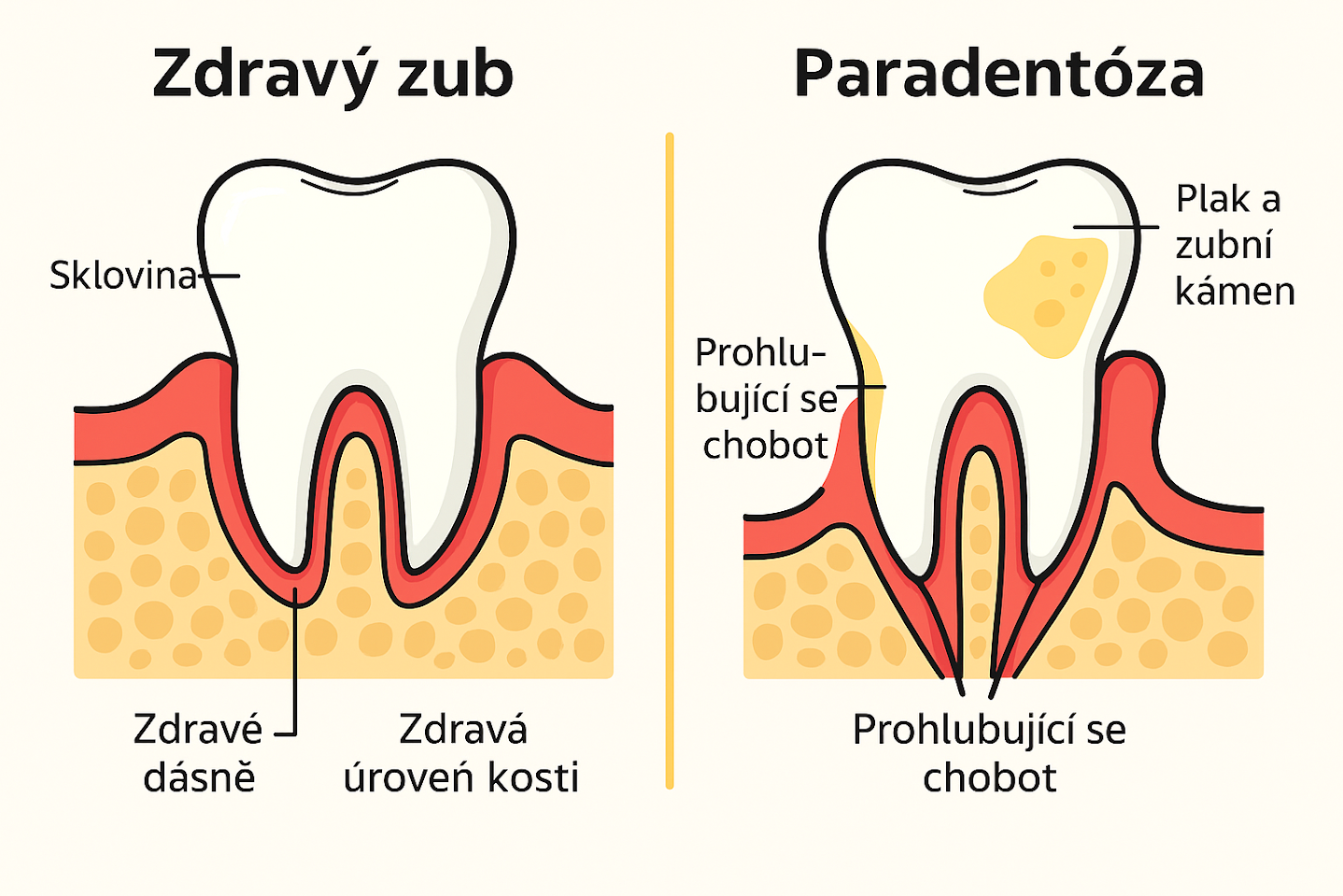 Kupte 3x Ústní Vodu z Divoké Ruje Vlasaté (Škumpa) + 1 Zubní Pastu Ina Dent-All - Rodinný balíček