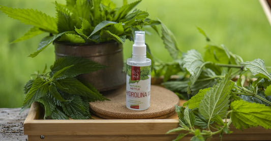 Divoká kopřiva Urtica dioica a Voda z divoké Kopřivy Hydrolina