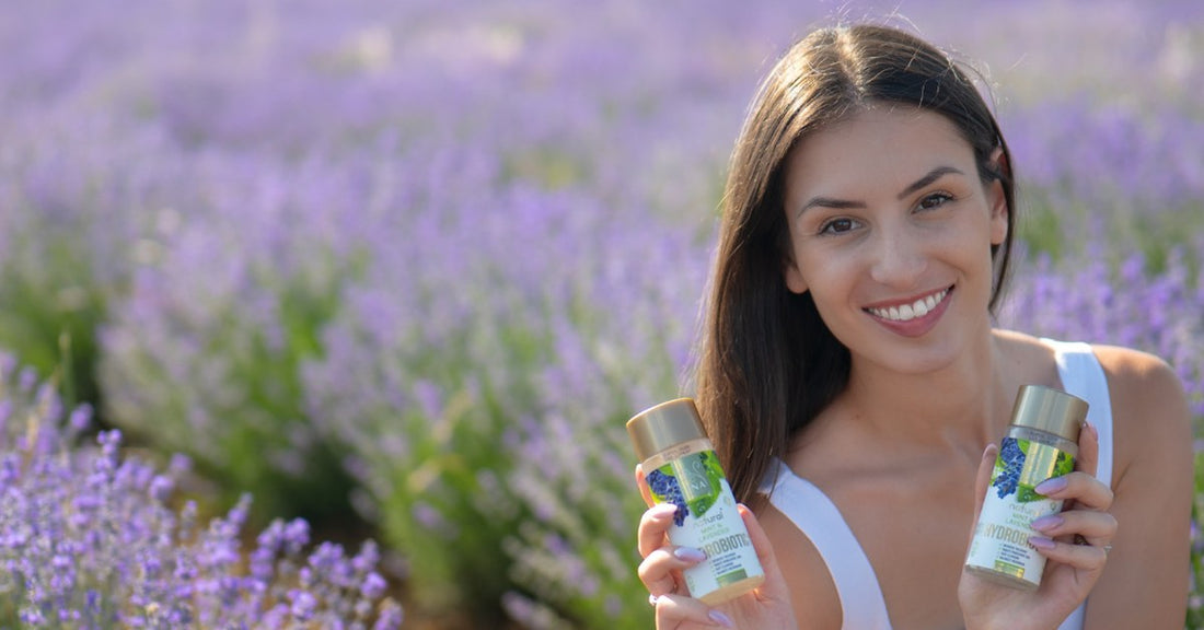Levandule Lavandula angustifolia a Hydrobiotic Levandule & Máta v levandulovém poli