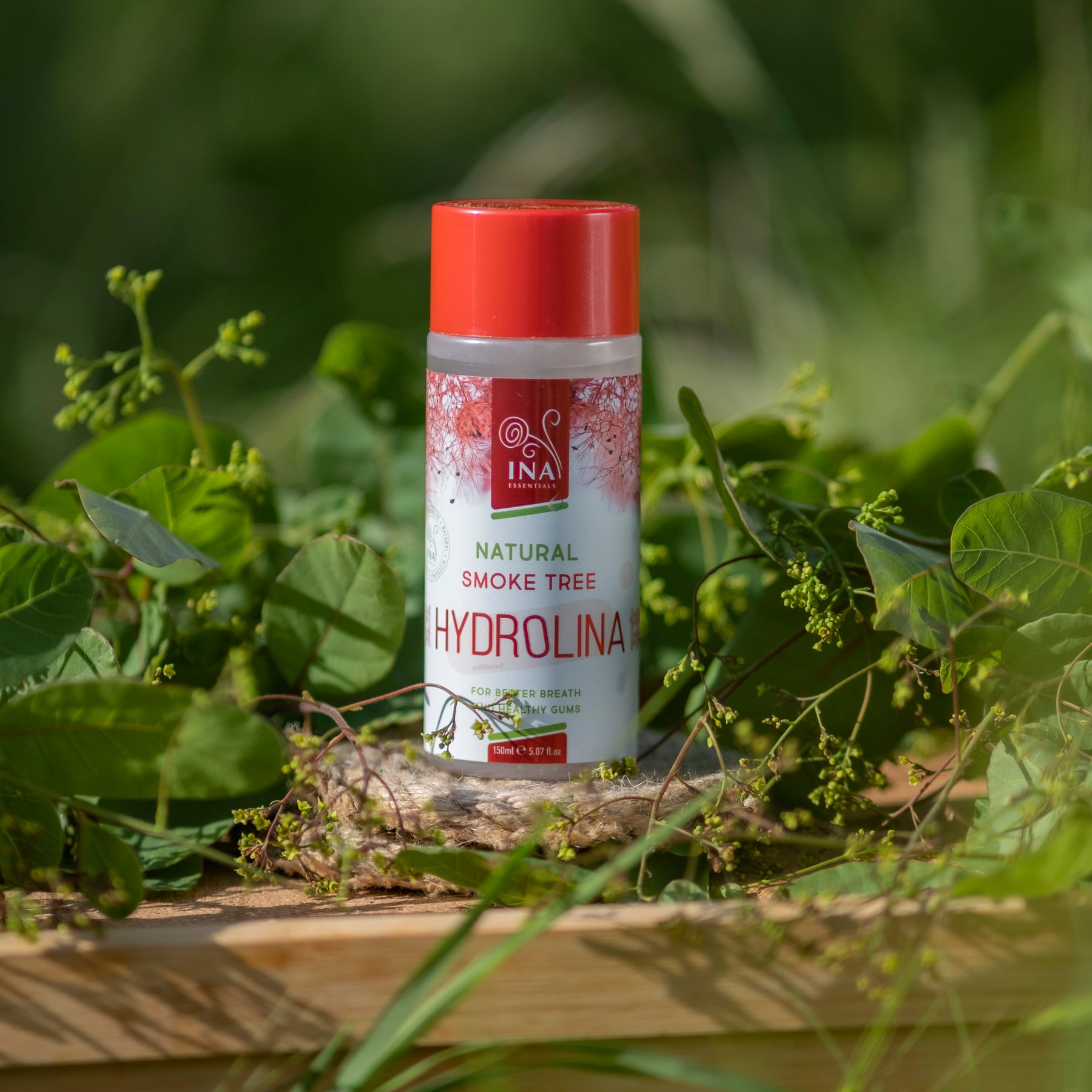 Ústní voda z divoké Ruje vlasaté - Hydrolina - pro bolest Dásní a Zápach z úst